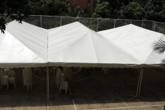 Alquiler 3 Carpas 12x6mts