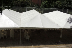 Alquiler 3 Carpas 12x6mts