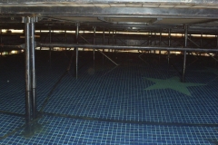 Alquiler Tarimas de Piscina  Medellin