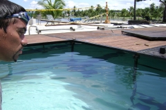 Alquiler Tarimas de Piscina  Medellin